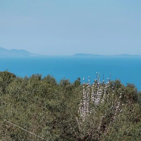Relais S Francesco Πανσιόν